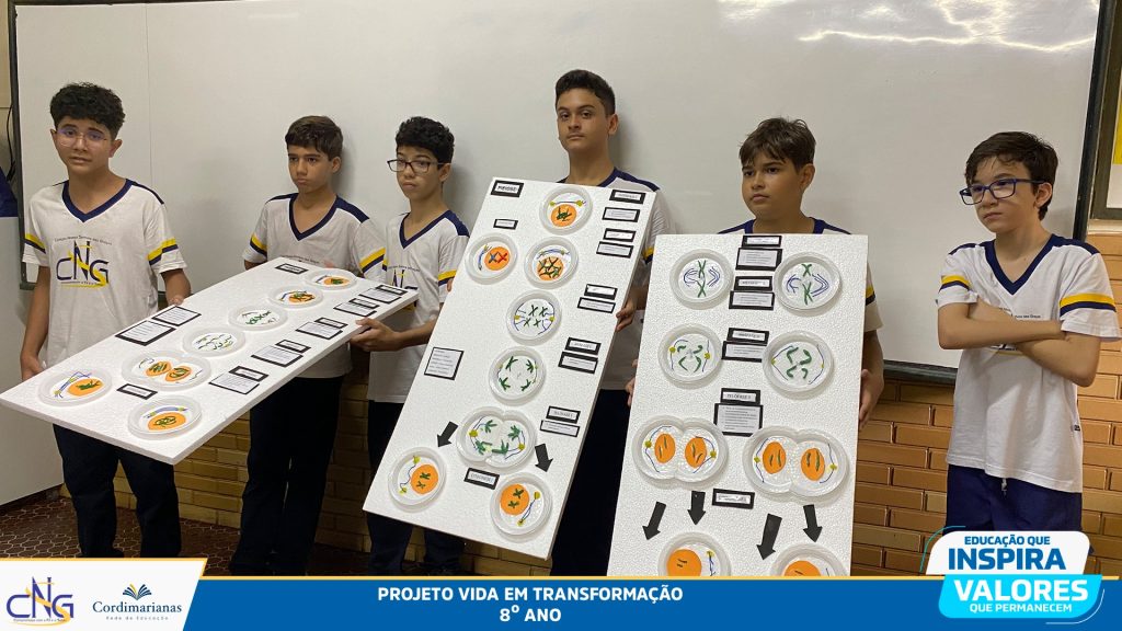 Projeto Vida em Transformação (8º ano)